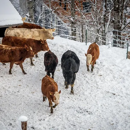 Naturresort Puradies 4* Leogang