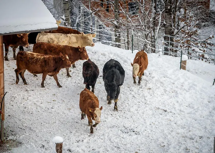Naturresort Puradies 4* Leogang