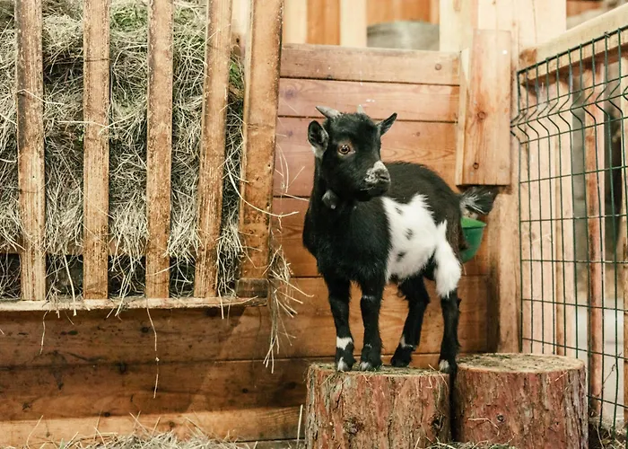 Naturresort Puradies Hotel